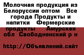 Молочная продукция из Белоруссии оптом - Все города Продукты и напитки » Фермерские продукты   . Амурская обл.,Свободненский р-н